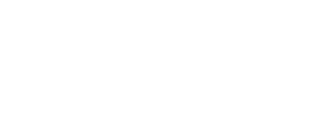 AIDA